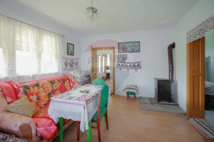 De vânzare casă cu teren și pădure 55706 mp - Șinteu, Valea Târnei - imagine 14