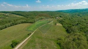 De vânzare casă cu teren și pădure 55706 mp - Șinteu, Valea Târnei - imagine 20