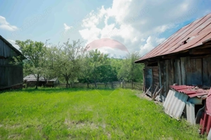 De vânzare casă cu teren și pădure 55706 mp - Șinteu, Valea Târnei - imagine 19