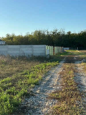 Lot 590 mp Jilava zona case noi - imagine 6