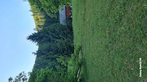 Teren intravilan + padure BONUS, de vânzare in inima muntilor Apuseni, comuna Scărisoara, jud.Alba  - imagine 6