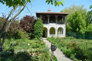 CASA / VILA SNAGOV, 1490mp DE TEREN + GARAJ SI GARSONIERA - imagine 3