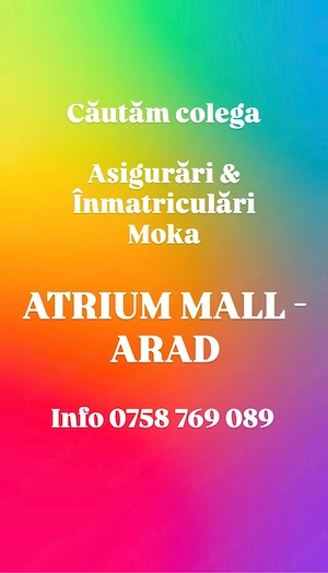 Asigurari & Inmatriculari