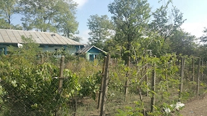 Casa de vânzare sat Stuhulet, comuna Berezeni, Jud. Vaslui - imagine 5