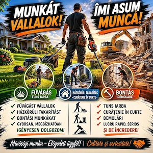 curățenie în jurul casei   demolări în județul bihor!