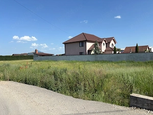 Tund iarba cu motocoasa 