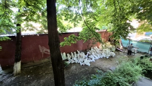 Apartament cu 2 camere 49,59 mp - cl. Grivitei - Gara de Nord - imagine 11
