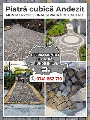 Vand și montez piatră cubică Andezit 