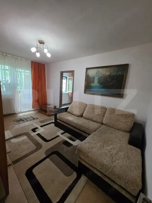 Apartament 2 camere Dambu Pietros - imagine 14