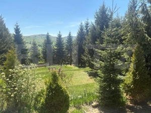 Cabana deosebită în Muntele Băișorii | 220 mp utili | 2717mp teren | 5dormitoare - imagine 17