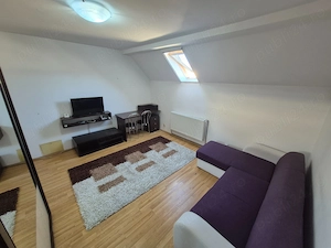 1 Cam-Buziasului-5 Min Spitalul Judetean-Centrala-Mobilat- 33MP- 54.000 Euro! Negociabil - imagine 3