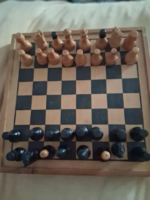 joc de sah si dame 