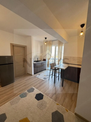 Cheile Turzii-Apartament 2 camere tip studio-- Metrou Dimitrie Leonida - imagine 6