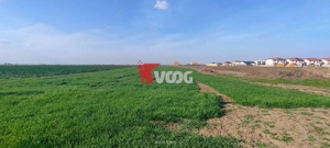 Teren de vânzare – 10.000 mp – ideal pentru parcelare și construcții - imagine 3