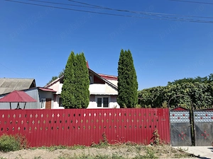 Casa cu teren ,viță de vie generoasă si fântână proprie +Anexe 