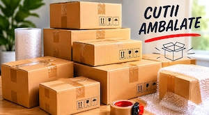 Servicii Profesionale de Ambalare – Rapid, Sigur și la Preț Mic!