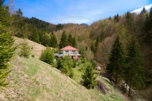 Casa de vacanta sau pensiune in Dâmbovicioara 5 camere, 5 bai, 6412 mp teren - imagine 2