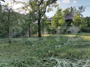 Casă la rRșu cu Livadă, Teren 1000 mp.  Gemenea Brătulești  - imagine 17