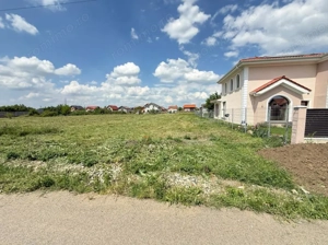 Teren intravilan 931 mp | Front 19 ml | Utilități | Asfalt | Dudeștii Noi - imagine 2