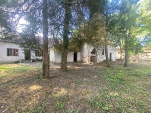 VILA DE VANZARE IN BALINT - imagine 5