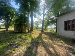 VILA DE VANZARE IN BALINT - imagine 4