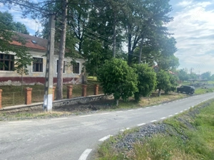 VILA DE VANZARE IN BALINT - imagine 6