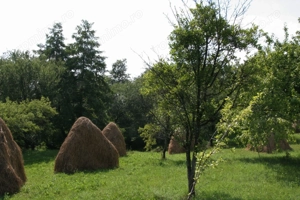 Teren 5844 mp Valea Danului Curtea de Arges intravilan extravilan