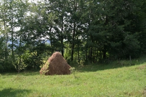 Teren 5844 mp Valea Danului Curtea de Arges intravilan extravilan - imagine 3