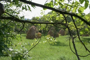 Teren 5844 mp Valea Danului Curtea de Arges intravilan extravilan - imagine 5