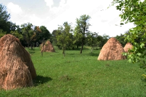 Teren 5844 mp Valea Danului Curtea de Arges intravilan extravilan - imagine 2