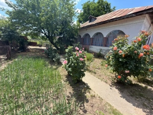 Casă renovabilă de vânzare – Balș, teren generos 1110 mp, deschidere 23 m - imagine 4