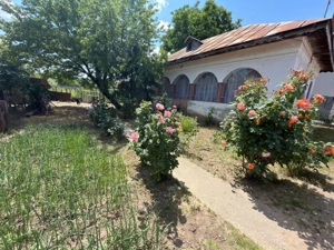 Casă renovabilă de vânzare – Balș, teren generos 1110 mp, deschidere 23 m - imagine 2