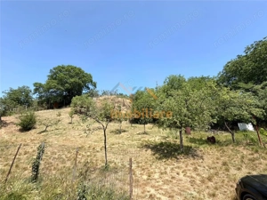 TEREN INTRAVILAN CU PIVNITA | 884 MP | ZONA EPISCOPIA | ORADEA - imagine 9
