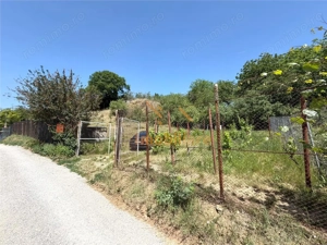 TEREN INTRAVILAN CU PIVNITA | 884 MP | ZONA EPISCOPIA | ORADEA - imagine 10