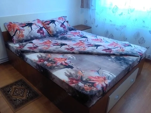Apartament 2 camere de închiriat Sinaia - imagine 2