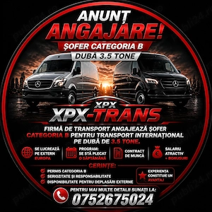 Angajez șofer categoria B pe dubă 3.5T
