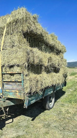 Baloți de fîn