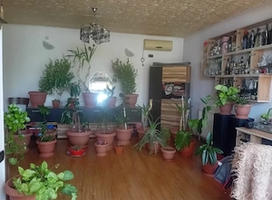 Casă de vânzare P+M cu garaj   Călărași - imagine 7