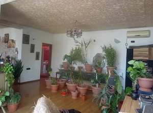 Casă de vânzare P+M cu garaj   Călărași - imagine 8