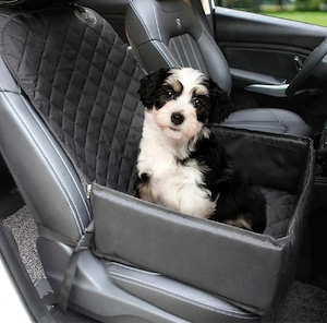 Transport caini ,pisici, pasari PET TAXI - imagine 2