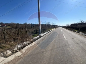 Teren intravilan Movilita, 2700mp - imagine 2