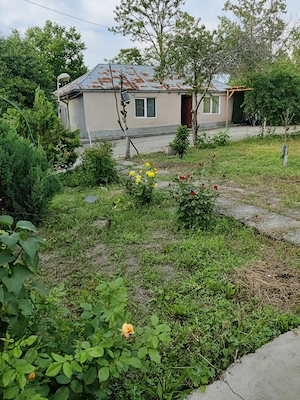 Super oferta , casa de vânzare 59 000 euro discutabil. 