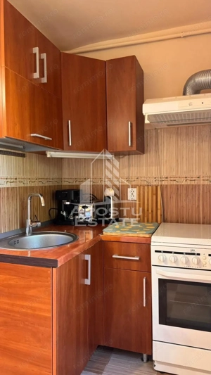 Apartament cu 3 camere , de inchiriat, Zona Bucovina, Timisoara - imagine 10