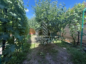 Casa individuala cu teren de vanzare, zona Plopi Timisoara - imagine 17