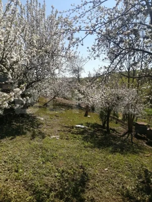 Casă de vânzare într-o oază de liniște - imagine 6