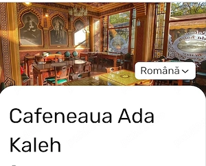 Angajam ospatar  detalii  spatarite 
