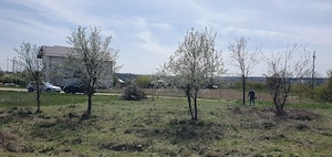 vand 500 mp intravilan la 3km de ramada - imagine 5