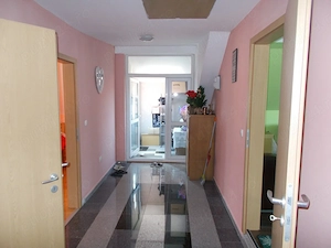 Casa mobilata sau afacere, Sanandrei, P+M+garaj mare 1670mp teren - imagine 18