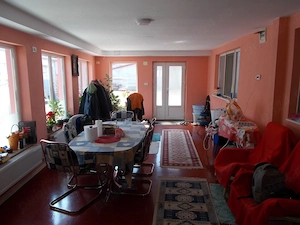 Casa mobilata sau afacere, Sanandrei, P+M+garaj mare 1670mp teren - imagine 9