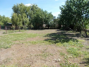 Casa mobilata sau afacere, Sanandrei, P+M+garaj mare 1670mp teren - imagine 20